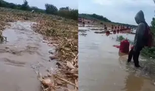 Piura: sembríos de cebolla, maíz y frutas fueron arrasados por el desborde del río Chira