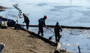 Más de 30 cetáceos mueren tras derrame de petróleo: barcos rusos naufragaron en el mar Negro