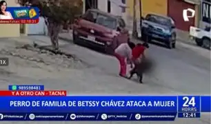 Tacna: Perro de familia de Betssy Chávez ataca a mujer y su mascota