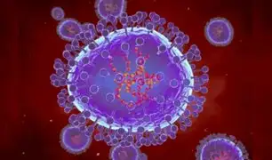 ¿Qué es el metapneumovirus? Todo sobre el virus que circula en China este invierno