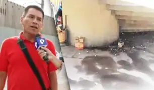 Denuncian que alrededores de la Estación Pumacahua del Metro de Lima lucen como un muladar