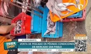 Venden pescado en pésimas condiciones en mercado San Pablo: expuesto al sol y mal almacenado