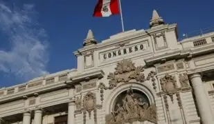 Congreso: aprueban denuncias contra Martín Vizcarra y Pedro Castillo