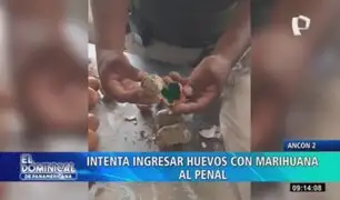 Mujer intenta ingresar marihuana escondida en huevos al penal Ancón 2