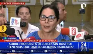 Congreso: Plantean el retorno de "jueces sin rostro"