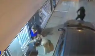 Perros defienden a su dueña de un intento de asalto en Piura