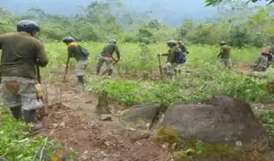 ¿Suspensión de ayuda al Perú en lucha contra las drogas podría afectar operaciones en el Vraem?