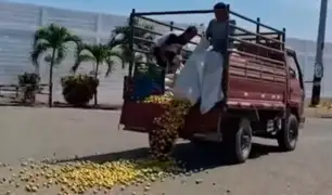 Agricultores botan 20 toneladas de limones como protestas por bajos precios