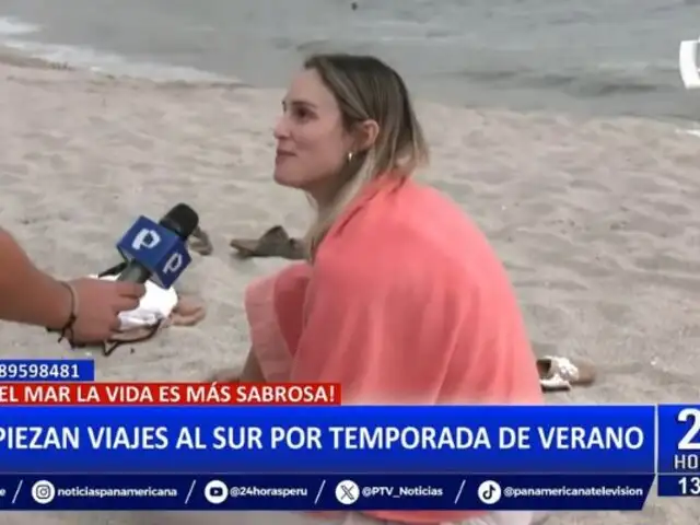 ¡Empieza la temporada de verano!: Peruanos y extranjeros disfrutan de las playas del sur