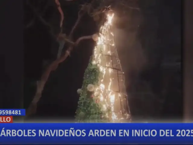 Árboles de Navidad se incendian por quema de pirotécnicos