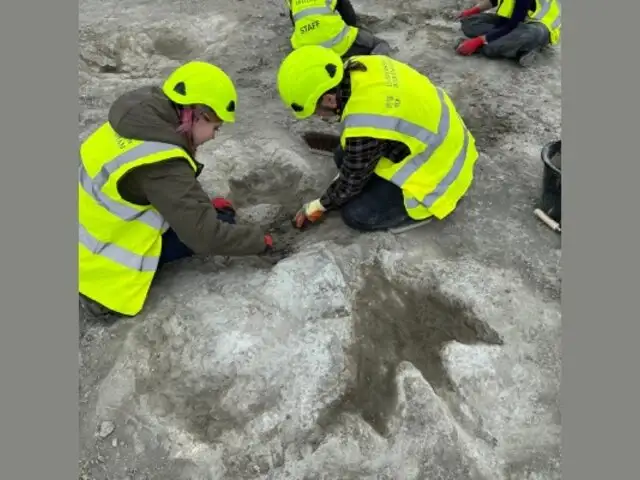 Descubren una increíble 'autopista de dinosaurios' de 166 millones de años en Inglaterra