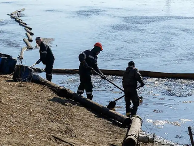 Más de 30 cetáceos mueren tras derrame de petróleo: barcos rusos naufragaron en el mar Negro