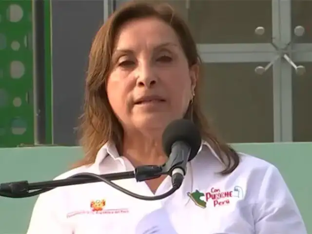 Presidenta Boluarte: Este año 2025 será dedicado a conseguir la seguridad de cada peruano