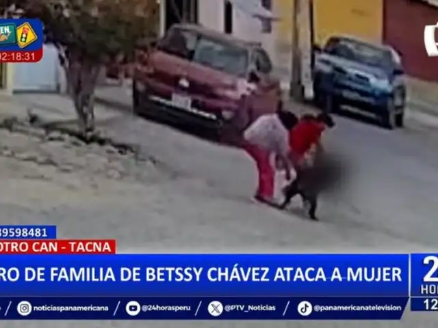 Tacna: Perro de familia de Betssy Chávez ataca a mujer y su mascota