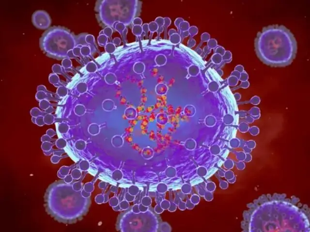 ¿Qué es el metapneumovirus? Todo sobre el virus que circula en China este invierno