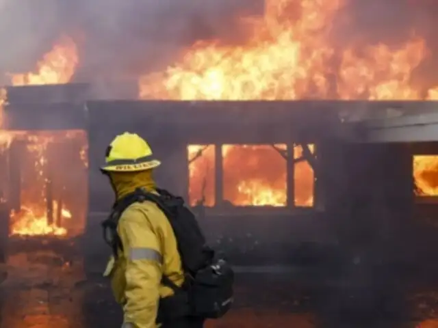 Alarma en Los Ángeles: incendios fuera de control dejan 30 mil evacuados y estado de emergencia