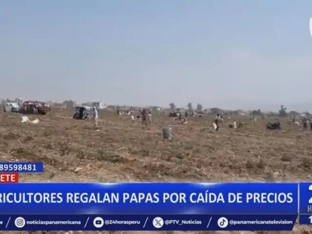 Cañete: Agricultores regalan papas por caída de precios