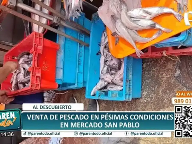 Venden pescado en pésimas condiciones en mercado San Pablo: expuesto al sol y mal almacenado