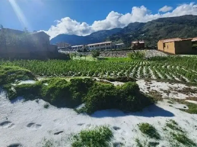 Áncash: lluvias y granizadas afectan más de 300 hectáreas de cultivos de papa, maíz, habas y trigo