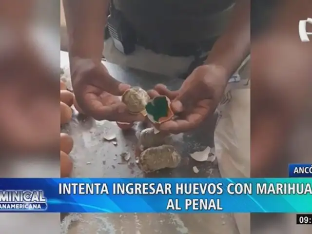 Mujer intenta ingresar marihuana escondida en huevos al penal Ancón 2