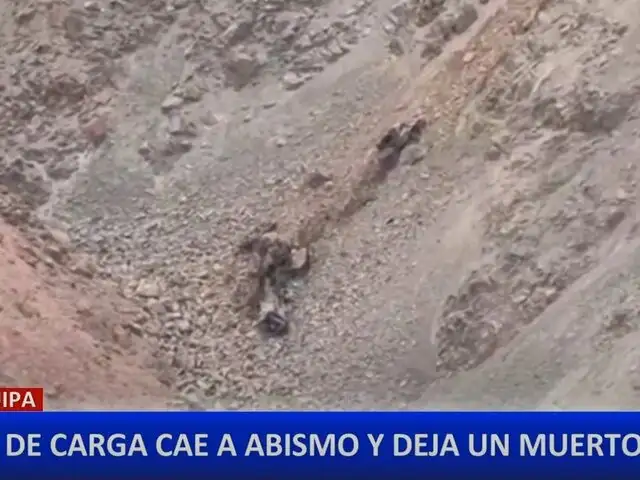 Arequipa: tren de PerúRail cae a un abismo y deja un fallecido