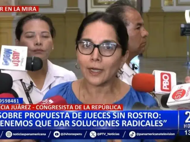 Congreso: Plantean el retorno de "jueces sin rostro"