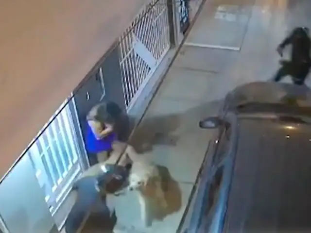 Perros defienden a su dueña de un intento de asalto en Piura