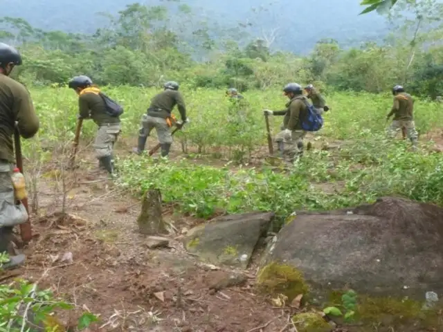 ¿Suspensión de ayuda al Perú en lucha contra las drogas podría afectar operaciones en el Vraem?