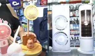 Ventiladores de capibaras y tipo aire acondicionado con vapor helado entre los más pedidos