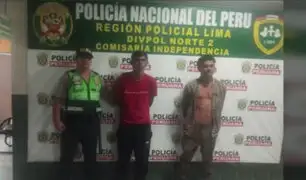 Con piedras en la mano: dos extranjeros agredieron a serenos de SMP