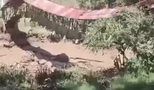 Cientos de pobladores aislados en Chachapoyas: colapsa puente peatonal sobre el río Guabayacu