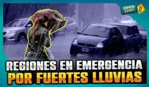 Emergencia en Huánuco: lluvias y desbordes de ríos se llevan casas y cultivos