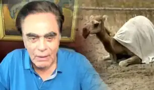 Luis Gonzales Posada: “Los 10 camellos donados por el rey de Marruecos murieron envenenados”