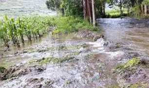 Por intensas lluvias río de Tarma se vuelve a desbordar: viviendas y cultivos resultaron afectados