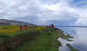 Más de 300 hectáreas de cultivos afectados por desborde de ríos en Puno: intensas lluvias continúan