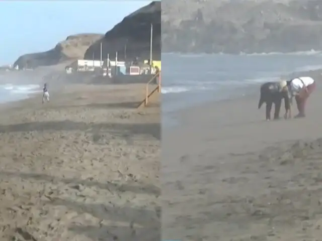 Playa La Herradura recupera su arena: retirarán a diario piedras de menor tamaño en balneario