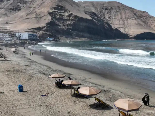 Chorrillos: reabren playa La Herradura tras migración de cangrejos