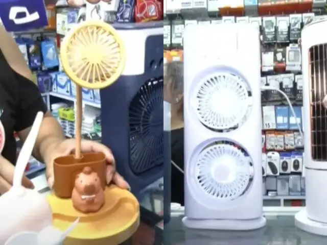 Ventiladores de capibaras y tipo aire acondicionado con vapor helado entre los más pedidos