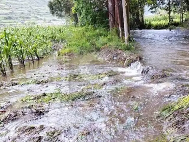 Por intensas lluvias río de Tarma se vuelve a desbordar: viviendas y cultivos resultaron afectados