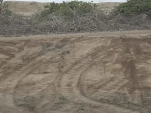 Chan Chan: destruyen zona intangible de sitio arqueológico con maquinaria pesada