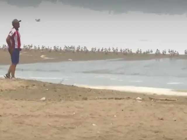 Santa Rosa: Adolescente desaparece en el mar de Playa Grande tras intentar salvar a su hermano y amigo