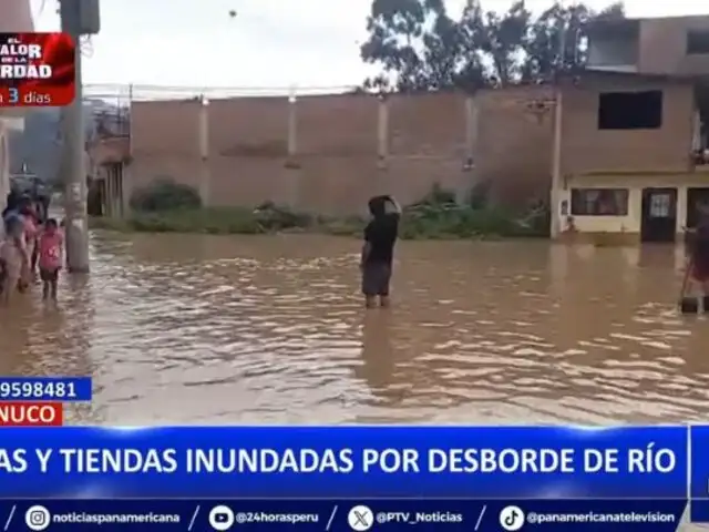 Huánuco bajo el agua: Casas y negocios inundados por desborde de río Huallaga