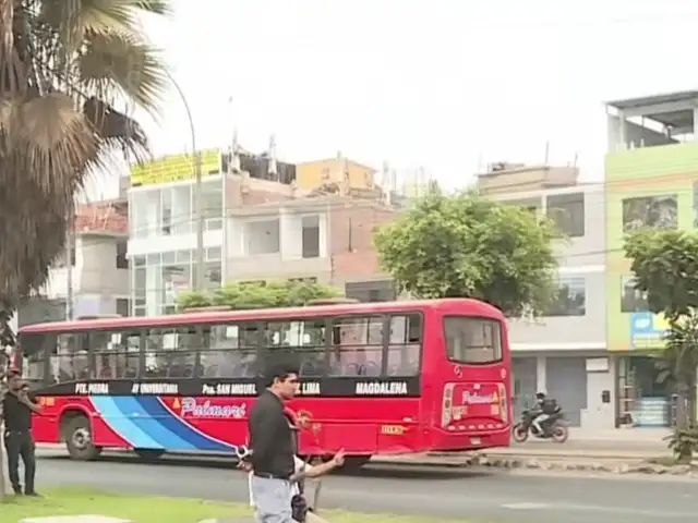 Los Olivos: hombre muere tras ser atropellado por bus de transporte público