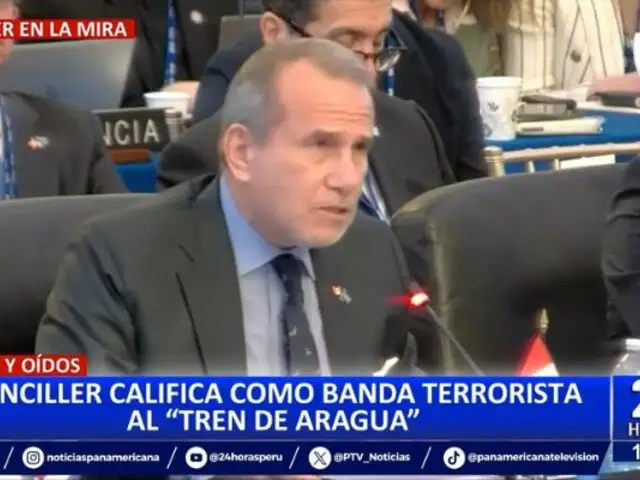 Canciller Schialer califica de "grupo terrorista" al Tren de Aragua durante Asamblea de la OEA