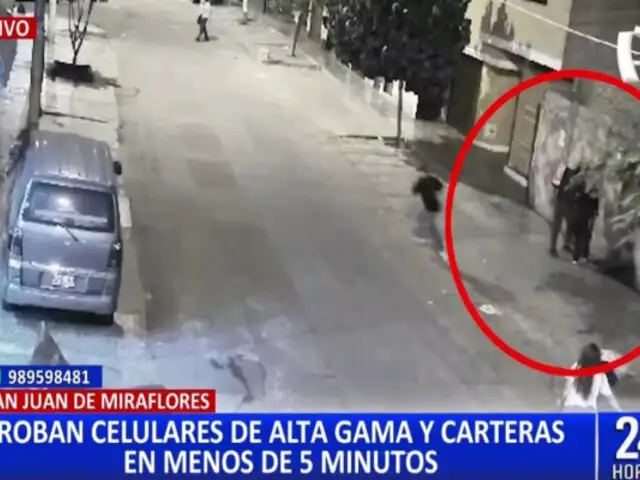 Criminalidad azota SJM: falso delivery roba celular a una joven en la calle